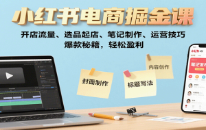 小红书电商掘金课：开店流量、选品起店、笔记制作、运营技巧，爆款秘籍，轻松盈利