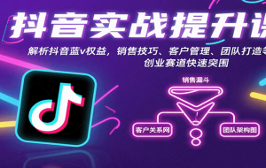 抖音实战提升课：解析抖音蓝v权益，销售技巧、客户管理、团队打造等创业赛道快速突围