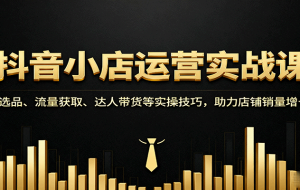 抖音小店运营实战课：选品、流量获取、达人带货等实操技巧，助力店铺销量增长
