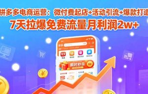 （15960期）拼多多电商运营：微付费起店+活动引流+爆款打造 7天拉爆免费流量月利润2w+