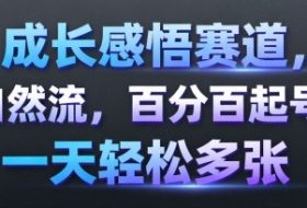 成长感悟赛道，纯自然流，百分百起号率 一天轻松多张