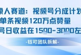 视频号分成计划新赛道玩法，单条收益突破了120W，综合收益在3k上下