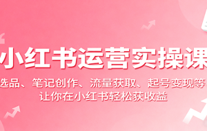 小红书运营实操课：选品、笔记创作、流量获取、起号变现等，让你在小红书轻松获收益