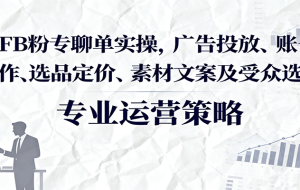 FB粉专聊单实操，广告投放、账号操作、选品定价、素材文案及受众选择