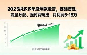（15973期）2025拼多多年度爆款运营，基础搭建、流量分配、强付费玩法，月利润5-15万