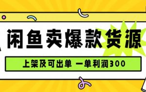 （15977期）闲鱼卖爆款货源，每天利润1000，上架即出单