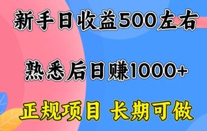 （15978期）一台电脑，前期日收益300-500，熟练后日入1000左右