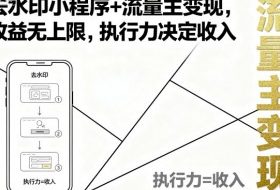 去水印小程序+流量主变现，收益无上限，执行力决定收入