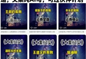大案纪实短视频制作教学，热门赛道，文案纯AI写，可过伙伴计划