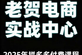 老贺电商2025年拼多多付费课程，用通俗易懂的方法告诉你多多怎么玩