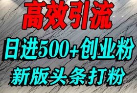 今日头条打创业粉，一篇文章就能引流几百个精准创业粉，日进500+精准流量