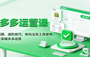 拼多多运营课，入门搭建、进阶技巧、新玩法及工具使用，一站式掌握多多运营