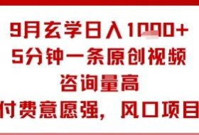 9月玄学日入1k+玩法，5分钟一条原创视频，咨询量高，付费意愿强，风口项目