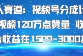 懒人赛道：视频号分成计划单条视频120W点赞量 收益高综合收益在1.5K左右