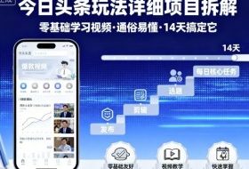今日头条玩法详细项目拆解，零基础学习视频 通俗易懂 14天搞定它