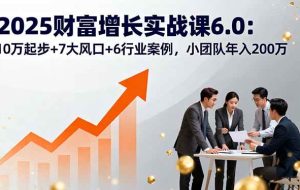 （16004期）2025财富增长实战课6.0：10万起步+7大风口+6行业案例，小团队年入200万