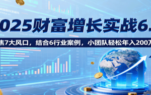 2025财富增长实战6.0，聚焦7大风口，结合6行业案例，小团队轻松年入200万！