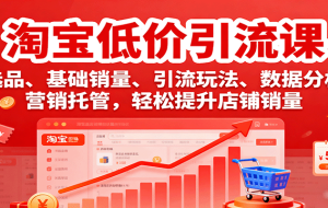 淘宝低价引流课，选品、基础销量、引流玩法、数据分析，营销托管，轻松提升店铺销量