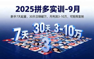 （16008期）2025拼多多实训-9月：新手7天起量,30天日销破万,月利润3-10万,可矩阵复制