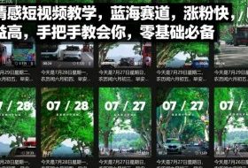 情感短视频教学，蓝海赛道，涨粉快，收益高，手把手教会你，零基础必备