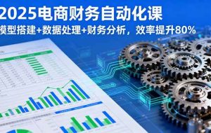 （16021期）2025电商财务自动化课，模型搭建+数据处理+财务分析，效率提升80%