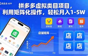 （16025期）拼多多虚拟类目项目，利用矩阵化操作，轻松月入1-5W