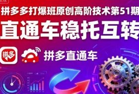 拼多多打爆班原创高阶技术第51期，直通车稳托互转