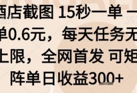 酒店截图项目，15秒一单，一单0.6米，每天任务无上限，全网首发可矩阵单日收益3张+【揭秘】