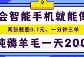 手机项目，二十秒一单，纯薅羊毛一天2张+做就有【揭秘】