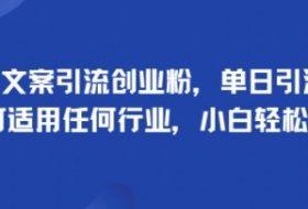 手掌文案引流创业粉，单日引流100+，可适用任何行业，小白轻松上手
