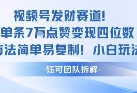 视频号发财赛道单条7W点赞变现四位数方法简单易复制小白玩法
