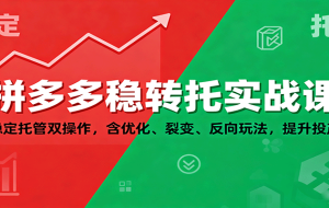 拼多多稳转托实战课:稳定托管双操作,含优化、裂变、反向玩法,提升投产