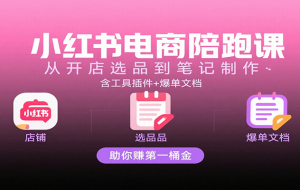 小红书电商陪跑课：从开店选品到笔记制作，含工具插件+爆单文档，助你赚第一桶金