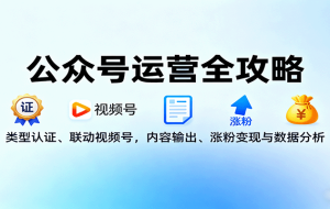 公众号运营全攻略：类型认证、联动视频号，内容输出、涨粉变现与数据分析