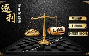 （16046期）《逐 利》商业实战课，底层逻辑、杠杆策略、18锦囊，跨周期财富心法