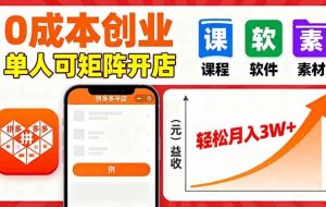 （16047期）拼多多虚拟电商，0成本，单人可矩阵开店，轻松月入3W+