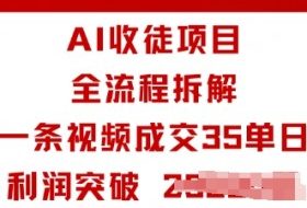 AI收徒项目全流程拆解一条视频成交35单日利润突破1k+