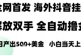 海外抖音无人直播，单日产出1.5k+，长期稳定，新手可玩，无脑操作【揭秘】