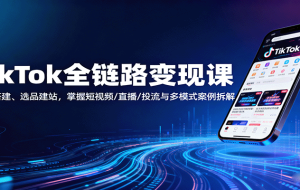 TikTok全链路变现课：账号搭建、选品建站，掌握短视频/直播/投流与多模式案例拆解