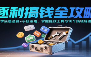 逐利搞钱全攻略：学底层逻辑+手段策略，掌握提效工具与18个搞钱锦囊
