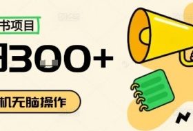 小红书抄书项目，无脑操作，一天3张