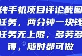 纯手机项目评论截图任务，两分钟一块钱多劳多得，随时随地都能做【揭秘】
