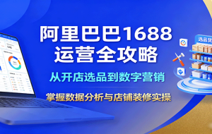 阿里巴巴1688运营全攻略：从开店选品到数字营销，掌握数据分析与店铺装修实操