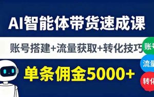 （16073期）AI智能体带货速成课，账号搭建+流量获取+转化技巧，单条佣金5000+