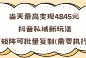 当天最高变现1k+，抖音私域新玩法，可矩阵可批量复制