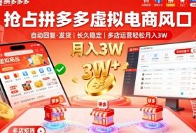 抢占拼多多虚拟电商风口：自动回复、发货，长久稳定，多店运营轻松月入3W+【揭秘】