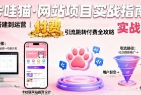 卡哇猫·网站项目，网站搭建与运营以及引流跳转付费