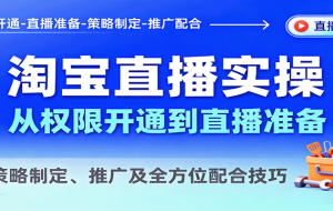 淘宝直播实操，从权限开通到直播准备，教策略制定、推广及全方位配合技巧