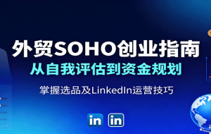 外贸SOHO创业指南：从自我评估到资金规划，掌握选品及LinkedIn运营技巧