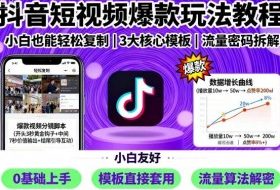 抖音短视频爆款玩法教程，小白也能轻松复制